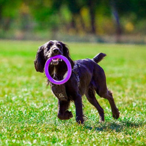 DOG PULLER MIDI interaktīva rotaļlieta vidējiem suņiem 20cm